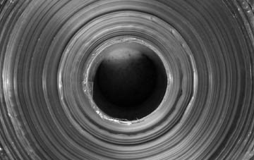 Row Of Trees edpm waterproofing