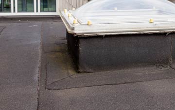 disadvantages of Row Of Trees flat roofs