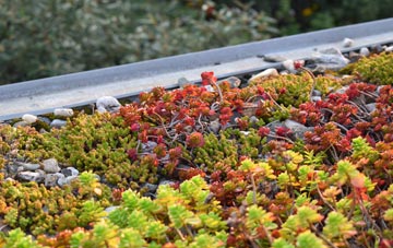 the cost of Row Of Trees green roof installation