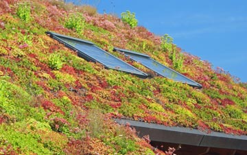 Row Of Trees living roof systems