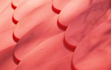 Row Of Trees plastic roof costs