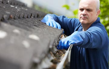 cleaning and inspecting Row Of Trees roofs