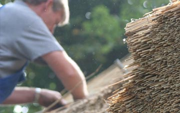 professional Row Of Trees thatchers