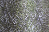 Row Of Trees fibreglass roof work