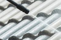 rated Row Of Trees roof cleaning companies